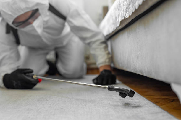Professional Pest Control technician working in Wells County County, IN